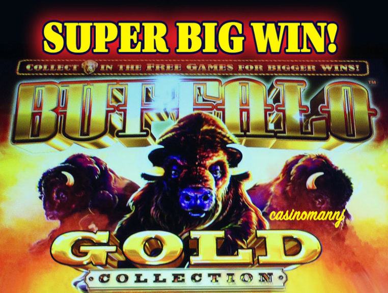 buffalo gold slot machine gold coins