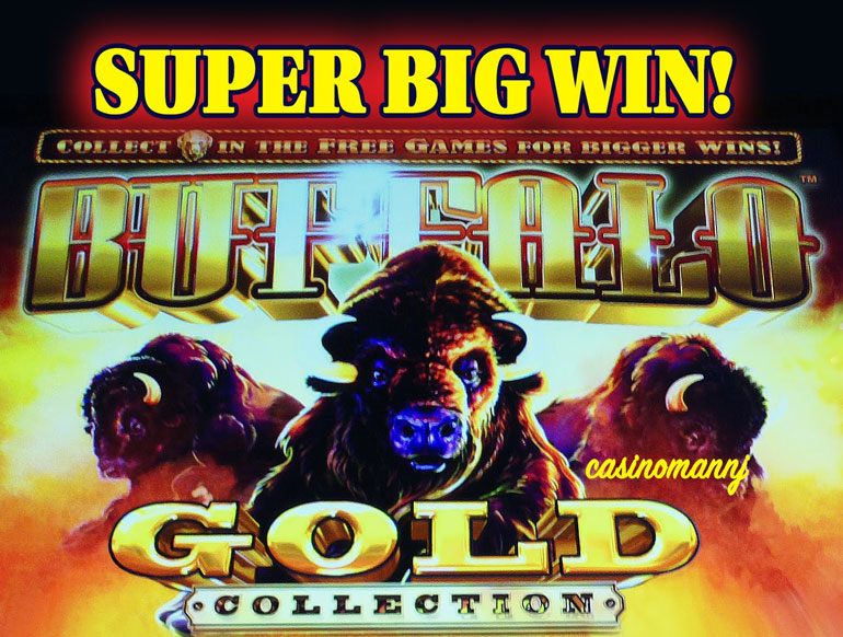 buffalo gold revolution slot machine video